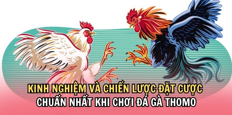 Hướng dẫn tham dự chuyên mục chọi kê Thomo Vz99